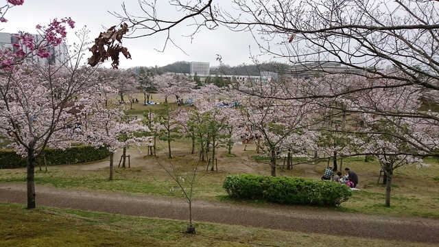 けいはんな記念公園 早期リタイアして長野へ行けなかった